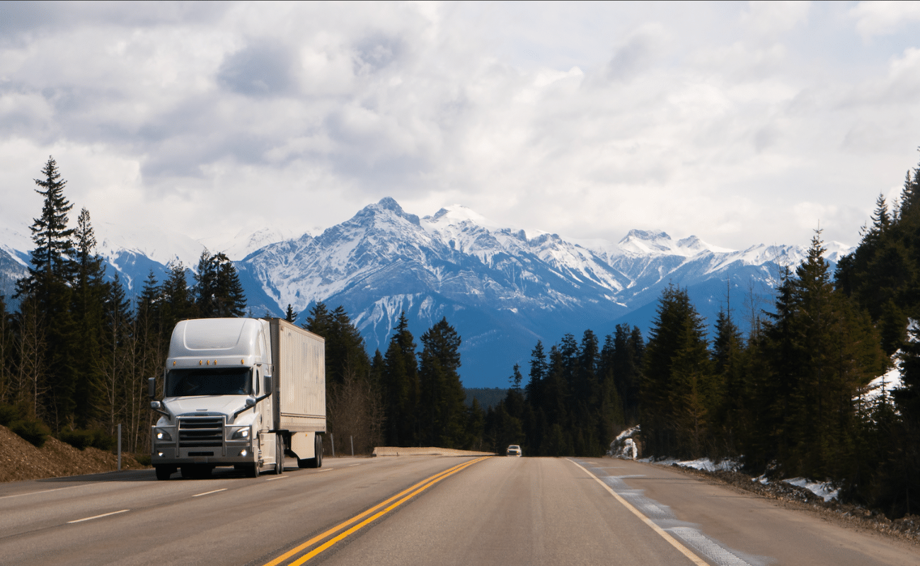 top-5-froaud-2024-in-logistics